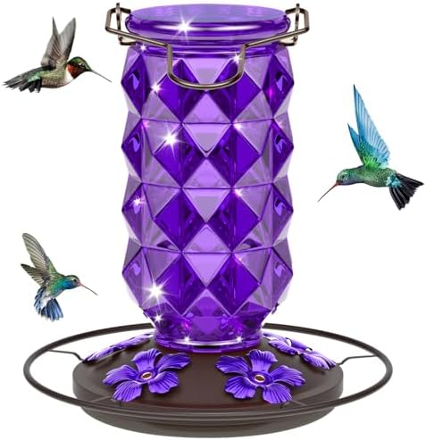 Glass Hummingbird Feeders for Outdoors, 25 Ounces Wild Bird Necta...