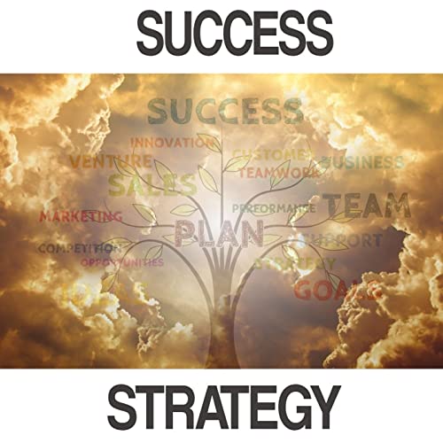 Successful Strategies Podcast Por arte de portada