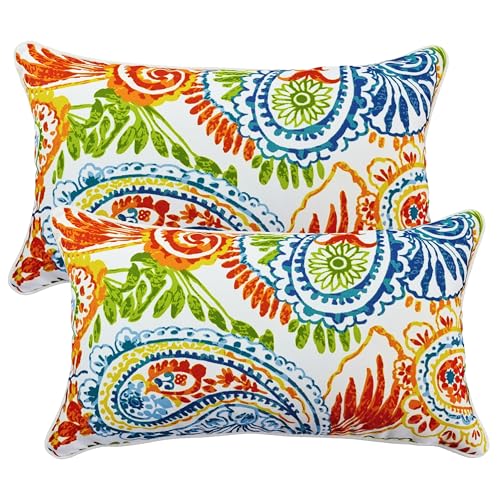 JMGBird Outdoor Lumbar Pillow Waterproof 12x20 Pillow Cover with Insert