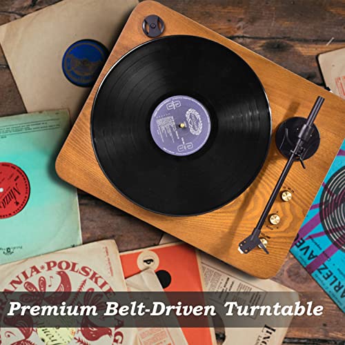 Chinflly Platine Vinyle, Tourne Disque Bluetooth avec Cartouche Magnétique et Deux Haut-Parleurs de 15 W – Entraînement… - Les Beatles, Paul McCartney, John Lennon, RIngo Starr, George Harrison Chinflly Platine Vinyle, Tourne Disque Bluetooth avec Cartouche Magnétique et Deux Haut-Parleurs de 15 W - Entraînement… – Image 5