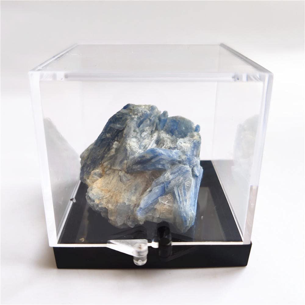 Amazon.co.jp: ナチュラル ブルー藍晶石粗宝石石鉱物標本青い結晶
