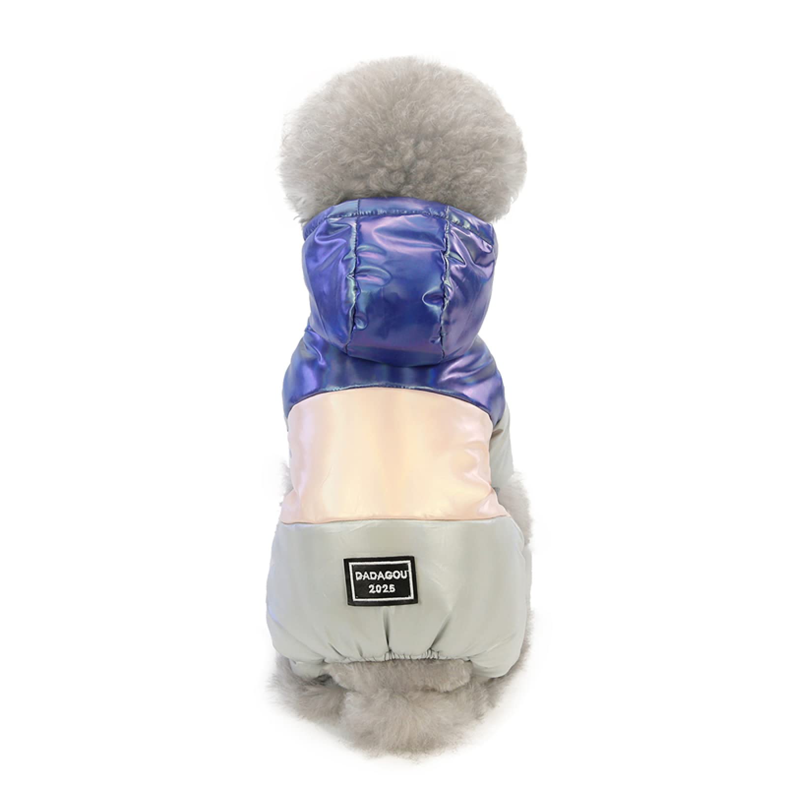 Vêtements d'hiver épais en coton pour petits chiens pour des promenades sereines