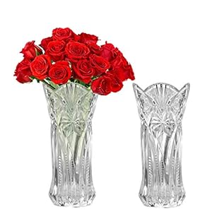 Kurtzy Helder Kristallen Glazen Vazen (2 Pak) – 24,5cm – Modern Decoratieve Melodia Cylinder Glazen Bloemen Vaas Set voor Huis Kopstuk en Kantoor Decor