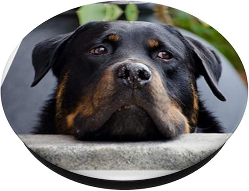 Miniatura 2 de Sweet Rottweiler - Agarre y soporte para teléfonos y tabletas