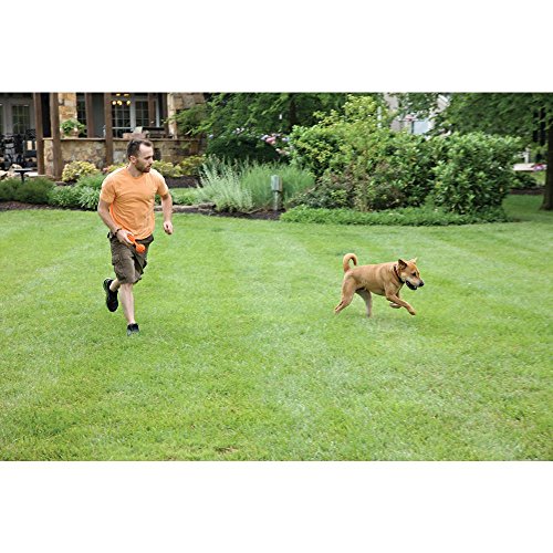 Pet Containment System Strengths
