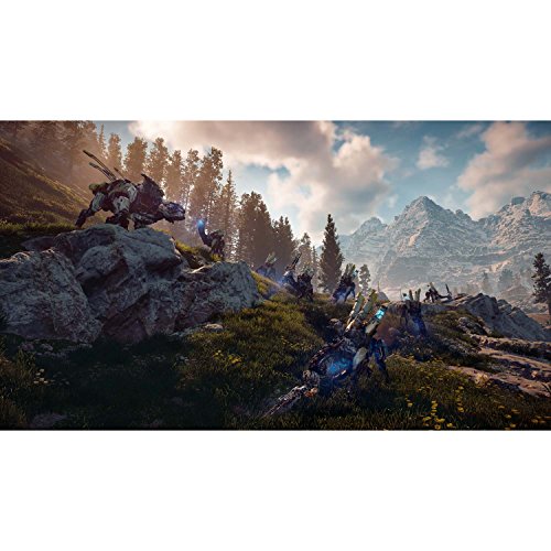 Image of Horizon Zero Dawn - PlayStation 4