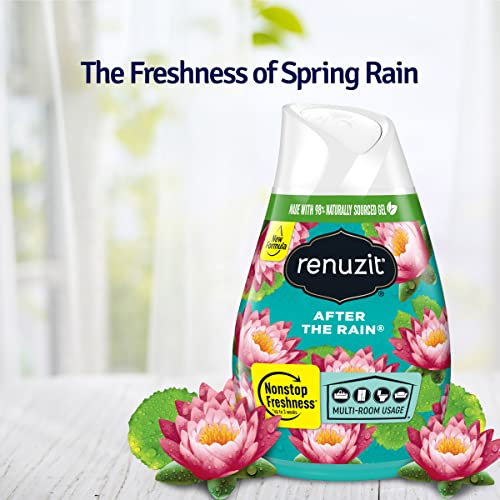 Image of Renuzit Adjustable Gel Air Freshener Cone, After the Rain Scent, Nonstop Freshness, 7oz Cone, 12 Count, brand is Renuzit.