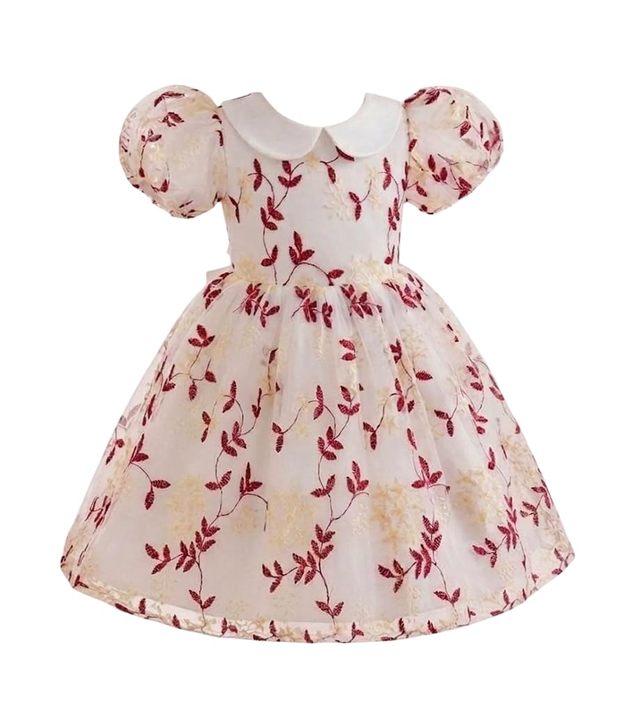 TAGAS Girls Floral Embroidered Party Dress | Puff Sleeve Peter Pan Collar Frock | Elegant Net Princess Dress for Baby Girls | Birthday, Wedding, Ages 2-7 Years | Blue/Red-image-41