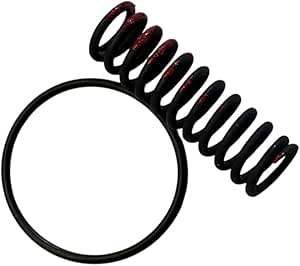 Amazon.com: TH350 ACCUMULATOR SPRING & ORING 1969-Up Transmission ...