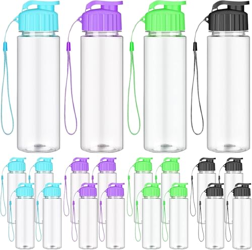 20 Pcs Water Bottle Bulk 500 ml Plastic Water Bottles Bulk Gym Sports Adults Reusable Large Water Bottles with Leak Proof Flip Top for Party Outdoor (Colorful)