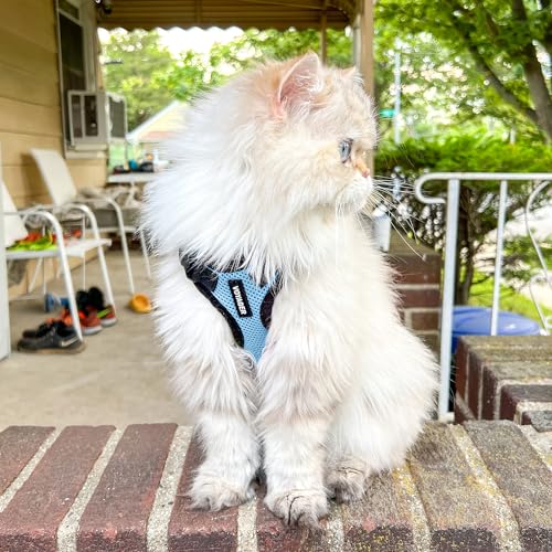 Image of Voyager Escape-Proof Step-in Lock Cat Harness & 5ft Neoprene-Handle Leash Set All-Weather Mesh with Reflective Stitching for Small to Large Cats by Best Pet Supplies, Baby Blue /Black Trim, XXS