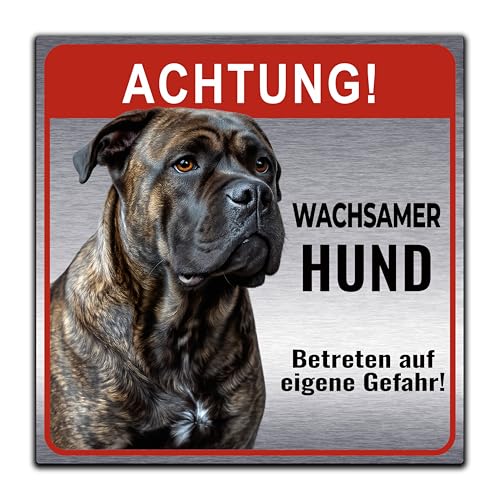 Hundeschild Cane Corso 15x15 cm – Warnschild Wachhund Geschenk für Hundebesitzer – Schild Hund für Zaun, Haustür & Grundstück (Aluverbund Edelstahl-Optik)
