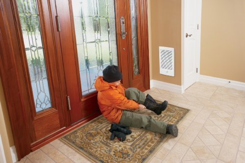 Dimplex TWH2031CW 2000/1500-Watt Fan Forced Wall Heater (Thermostat not  included) : Amazon.in: Home u0026 Kitchen