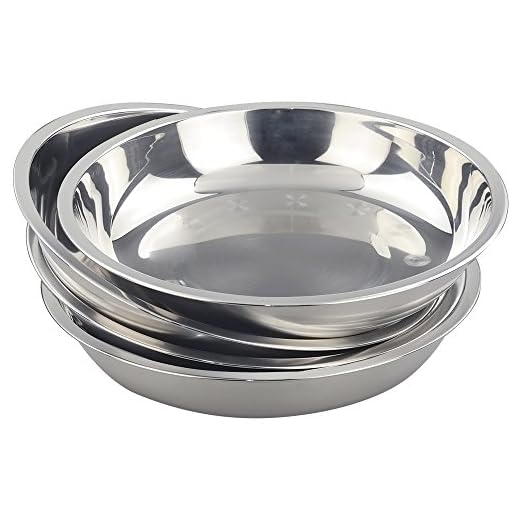 Morcte Stainless Steel Round Plates Dish Set for Dinner Plate, Outdoor Camping, BBQ, Set of 4