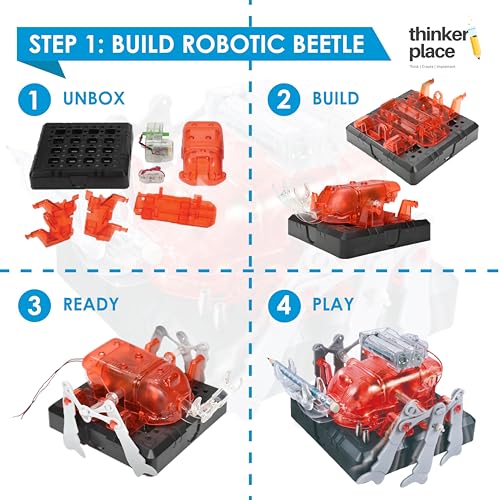 Image of Robotic Beetle DIY Kit | Build, Learn & Play | STEM Toy for Kids Age 8+ | Robotics Learning Kit with AR Experience | Fun Educational Game