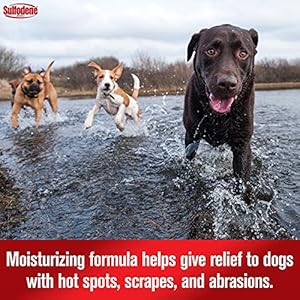 Sulfodene Hot Spot & Itch Relief Medicated Spray for Dog 8oz Sulfodene Hot Spot Itch Relief Medicated Spray for Dog 8oz