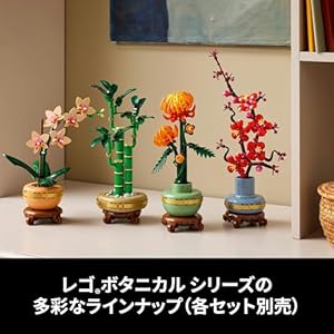 Amazon.co.jp - レゴ® ボタニカル ラン＜ミニ＞ 10343