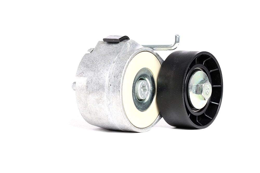 Dayco KPV233 estriada-Kit