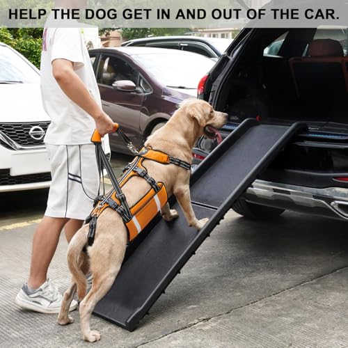 COODEO Mobility Hundegeschirr zum Heben, Notfall-Trageschlaufe, Haustier-Heckbeinstütze, Rehabilitationsweste, Hundetrage für ältere Hunde, Gelenkverletzungen, Arthritis (Orange, L)