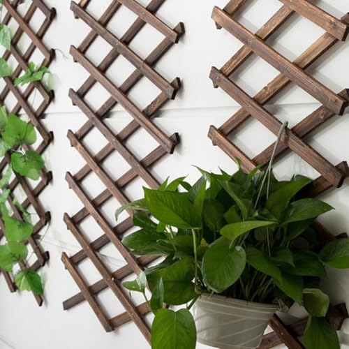 Treillis en bois extensible et réutilisable structure résistante pour plante grimpante