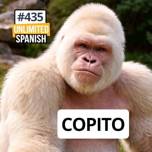 #435 Copito - El gorila blanco de Barcelona
