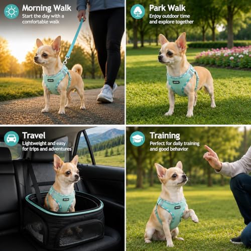 AMTOR Small Dog Harness with Leash Set, No Escape Easy Walk Puppy Harnesses for Training Walking, Step-in Reflective Soft Dogs Vest for XS S Medium Extra-Small Large Sized Dog(Green,S) - Image 4