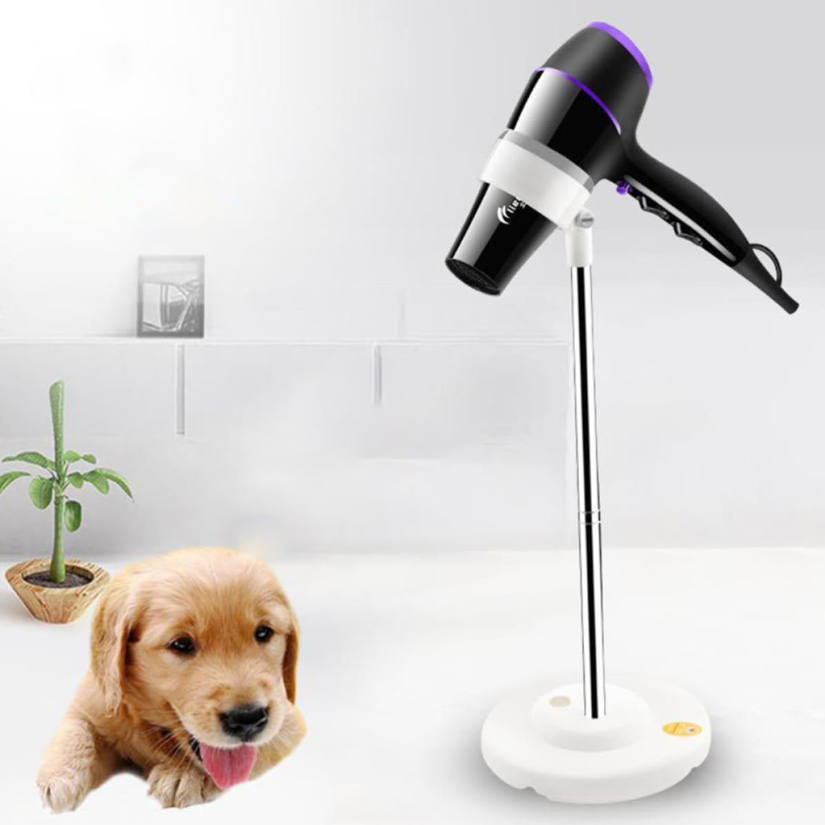 Supporto Libere e Animali Asciugacapelli Bianco Domestici Inossidabile in Plastico e Acciaio Design Mani Toelettatura e Asciugatura dei Cani