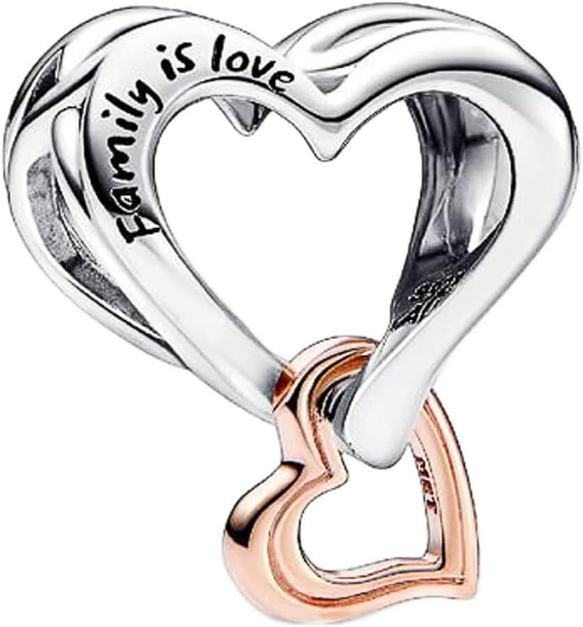 10 Pack Silver Charms for Bracelets and Necklaces Charms for Women Pendant Beads Set - Image 3