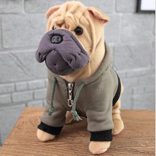What does a shar pei dog look like