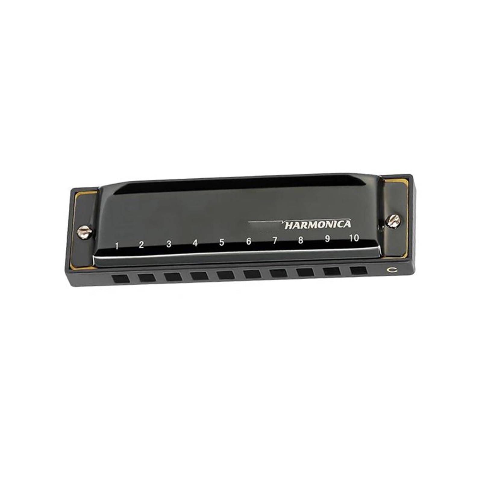 Armonica Blues A 10 Fori Per Principianti Introduttiva Tonalità Di Do Professionale(Black)