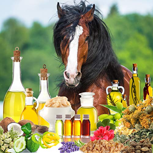 The Blissful Horses Summer Care Butter All Natural Sun Support For Your Horse, 2-Ounce #TOP5