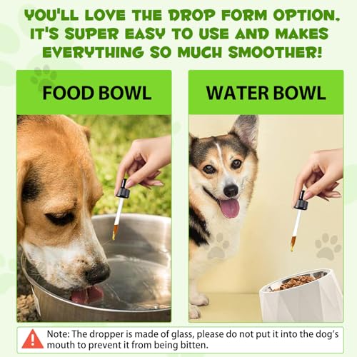 Image of 3-in-1 Probiotics for Dogs with Digestive Enzymes for Digestive Health, Gut Health & Immune Support, Liquid Dog Probiotic Supplement for Sensitive Stomachs, Diarrhea Relief & Gut Health, 2 fl oz