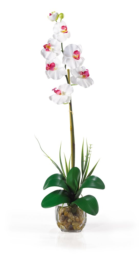 Nearly Natural 1104-WH Single Phalaenopsis Liquid Illusion Silk Flower Arrangement, White