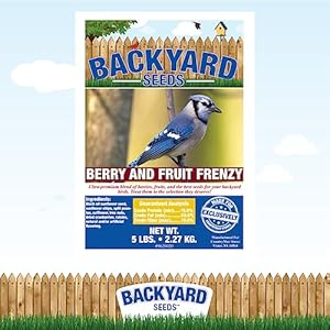 Backyard Seeds Berries 'N Fruit Bird Seed (5 Pounds) Backyard Seeds Berries N Fruit Bird Seed 5 Pounds
