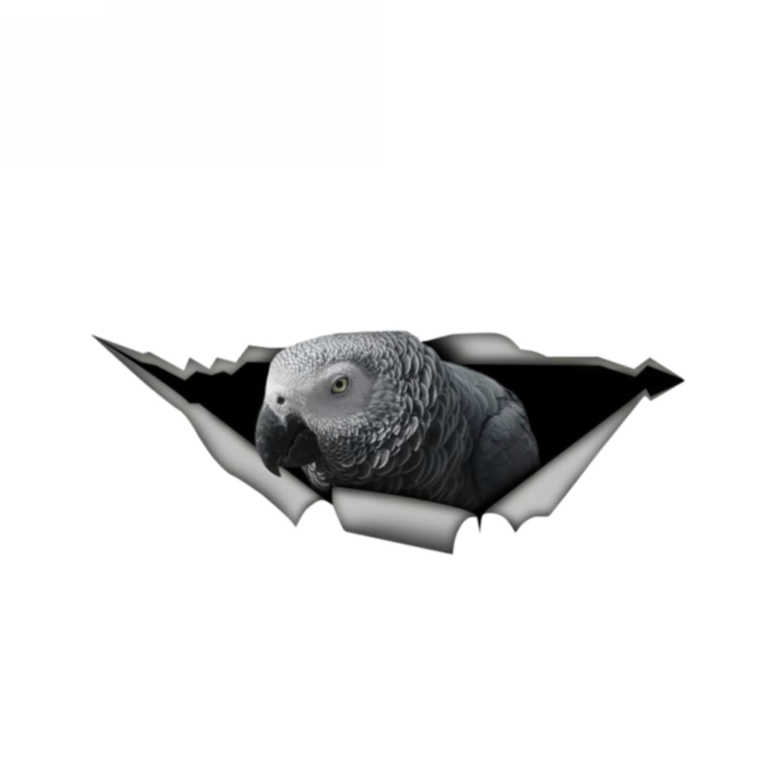 Muedie Reflective 3D African Grey Parrot Funny Car Sticker Torn Metal Aluminum Composite Sign Vinyl Car Styling Cute Pet Bird Decal,13Cm*5Cm
