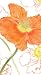 Caspari Guest Towels Paper Hand Towels Bathroom Decor Party Supplies Poppy Field Pk 30