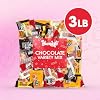 Bulk Chocolate Variety Pack 3lb Big Bag of Bulk Chocolate Individually Wrapped Large Chocolates Assortment for Pinatas, Party Favors & Easter Basket Stuffers