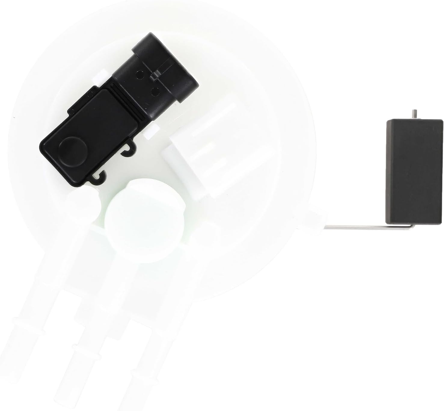 Delphi FG0376 Fuel Pump Module