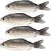Gejoy 4 Pieces Fake Fish Simulated Fish Artificial Sea Fish Model for Home Party Market Display Kids Toy Kitchen Decoration Photography Props