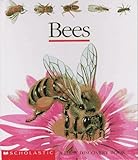 Bees (First Discovery)