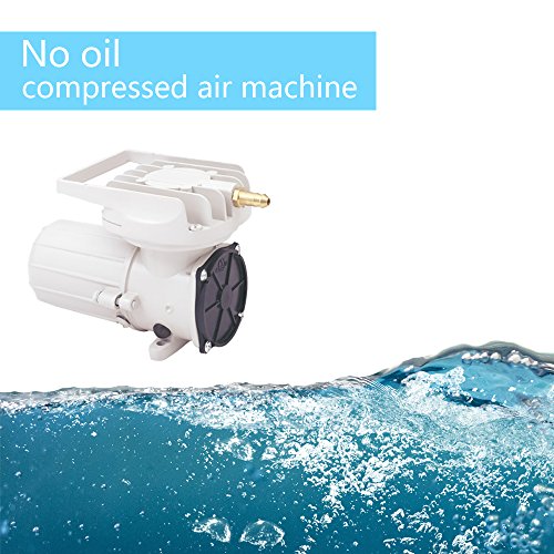 HEALiNK DC 12V 120LPM/Min 1900GPH 60W Aquarium Air Pumps Aquaculture Fish Poods Pressure Compressor Aerator