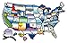 CCI 100 Permanent State Sticker