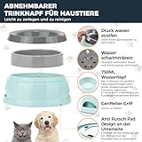 Wassernapf für Hunde Unterwegs 750ml, Qianyou Auslaufsicher Spritzschutz Fressnapf Hundenäpfe Katzenapf Haustier rutschfest Auto Reise Trinknapf Plastik Abnehmbar Tragbar Wasserschüssel Grün