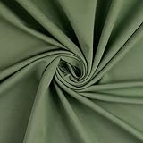 Stoffftreff Mathias - Tela de sudadera (0,25 cm, certificado Öko Tex Standard 100, tejido de invierno), color verde envejecido