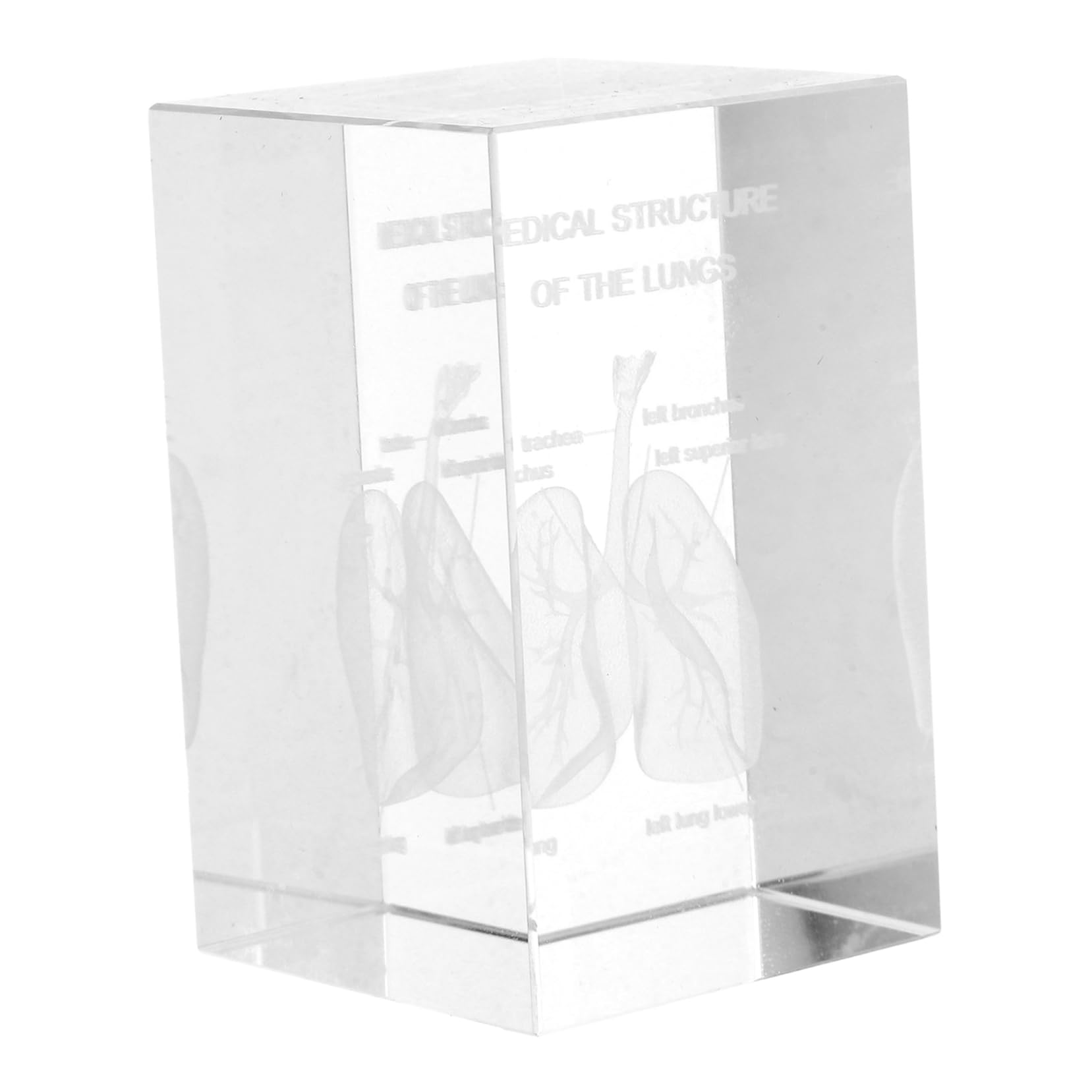 Modelo Anatómico del Pulmón en Cristal 3d Intrincado Grabado Interno, Diseño en Cubo Elegante para Enseñanza Científica y Decoración en Oficina