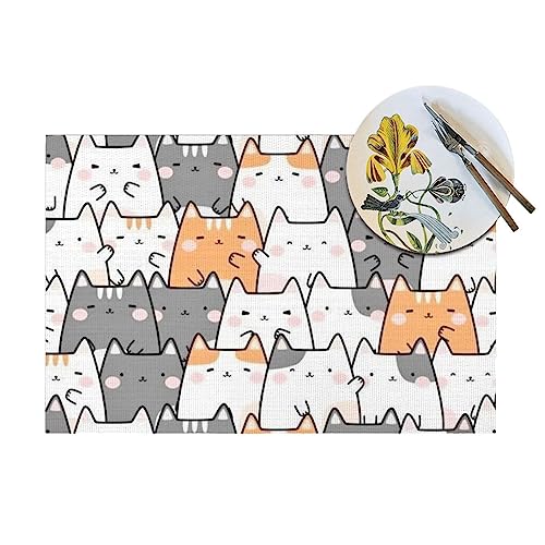 Set de table PVC tissé chat orange résistant chaleur salle à manger