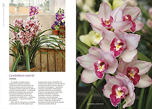 Enciclopédia das Orquídeas (Coleção - 21 Volumes)