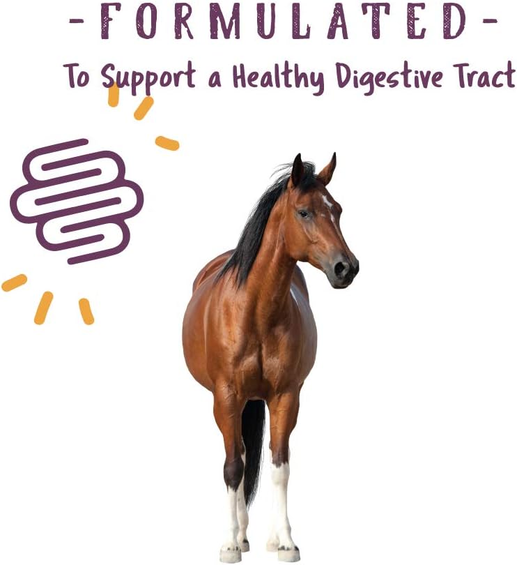 Best Senior Horse Feeds Buying Guide & Reviews