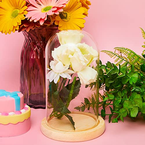 Suclain 4 Pcs Glass Display Dome Cloche Clear Dome Cloche with Wood Base Tabletop Jar Display Case for Home Office Wedding(Wood Color) - Thumbnail 2