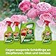 PROTECT GARDEN Lizetan Plus Schädlingsfrei AF gegen Schädlinge an Zierpflanzen, Rosen Obst und Gemüse, 800 ml Spray